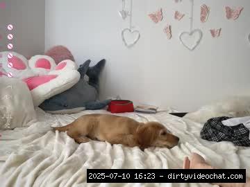 New, German, Squirt, Anal, Asian..., german blondes 9